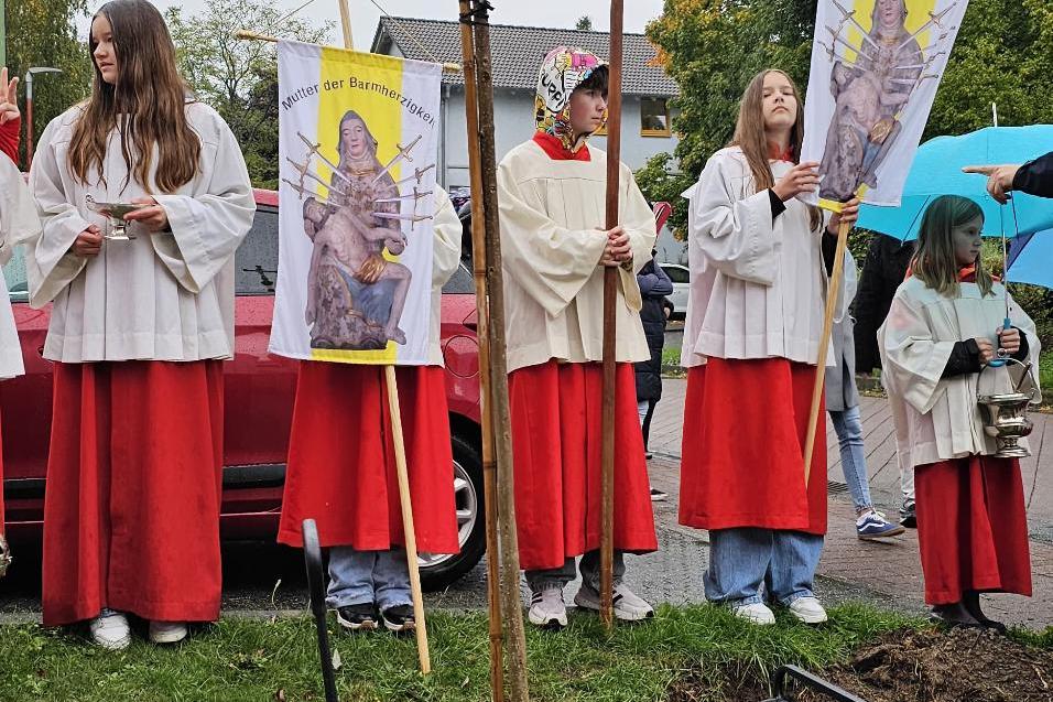 Baumpflanz-Challenge 2025